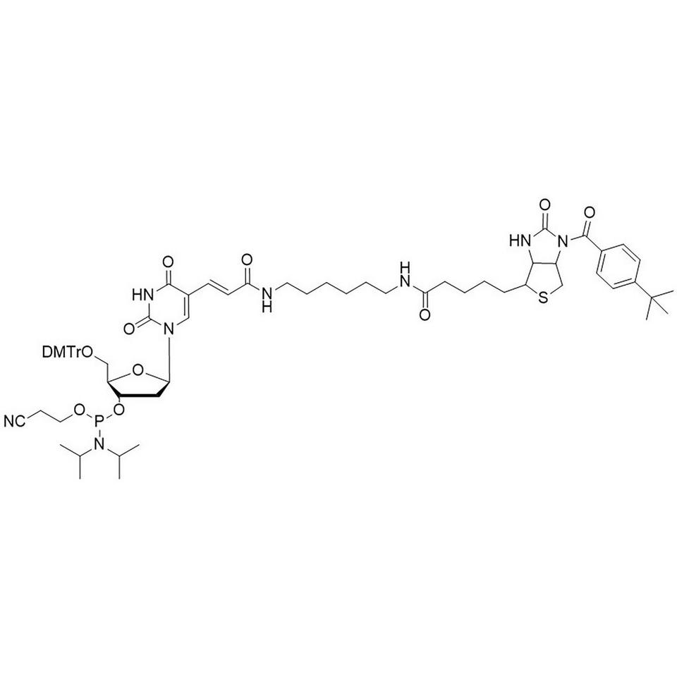 Biotin C6 T Amidite (TBB)